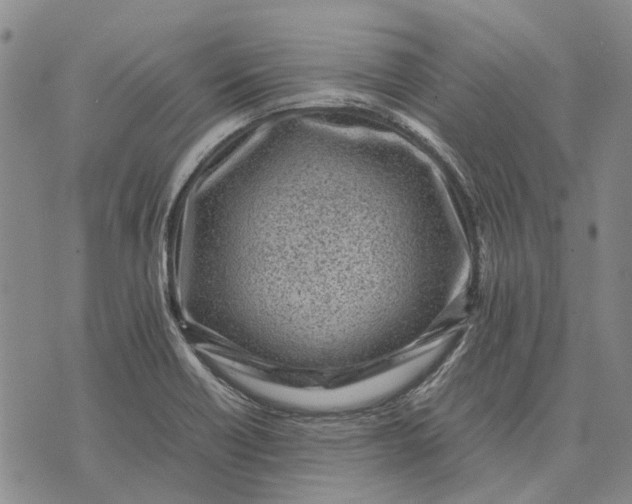 X0000070391418200606231726