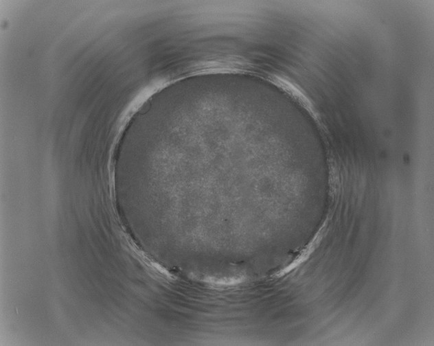 X0000070391419200606231726