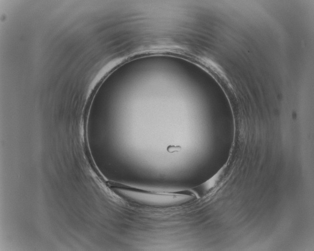 X0000070391420200606231726