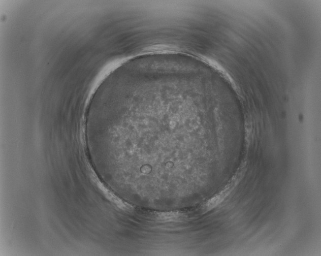 X0000070391421200606231726