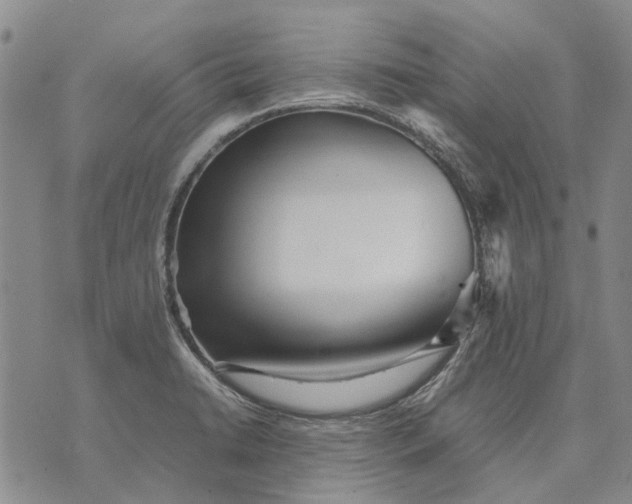 X0000070391422200606231726