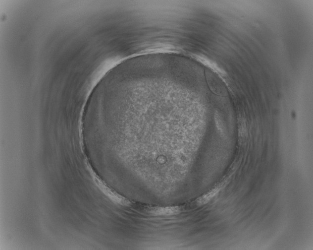 X0000070391423200606231726