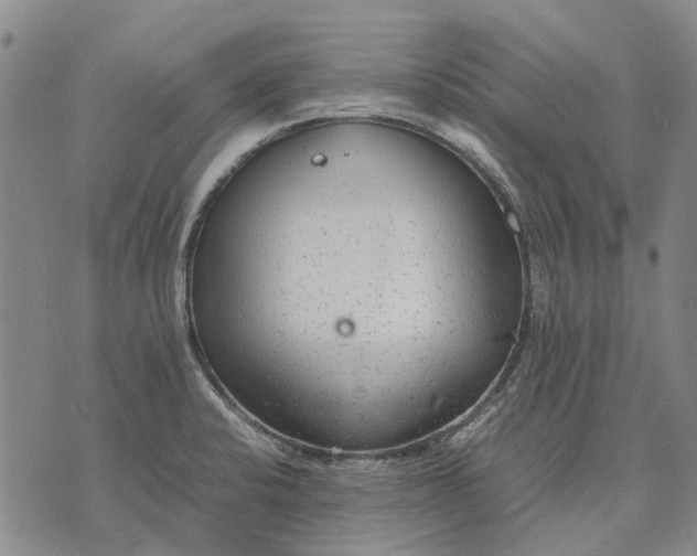 X0000070391424200606231726