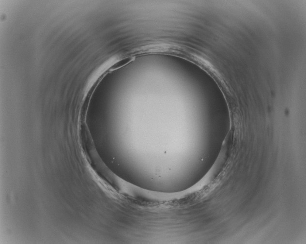 X0000070391426200606231726