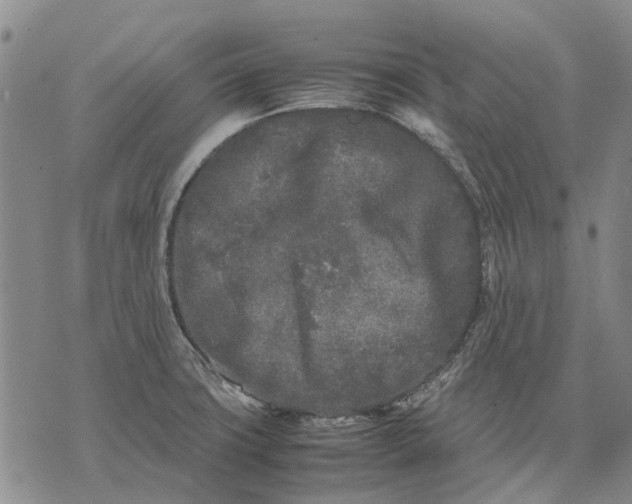 X0000070391427200606231726