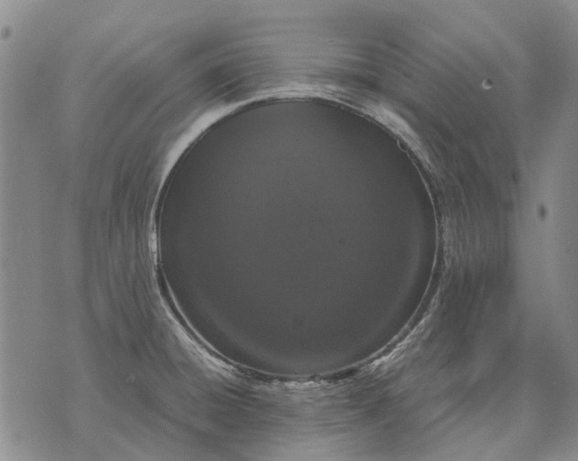 X0000070391428200606231726