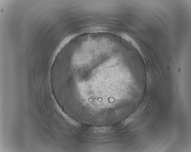 X0000070391429200606231726