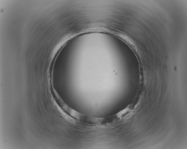 X0000070391430200606231726