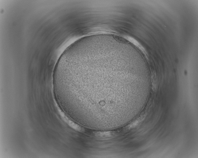 X0000070391431200606231726