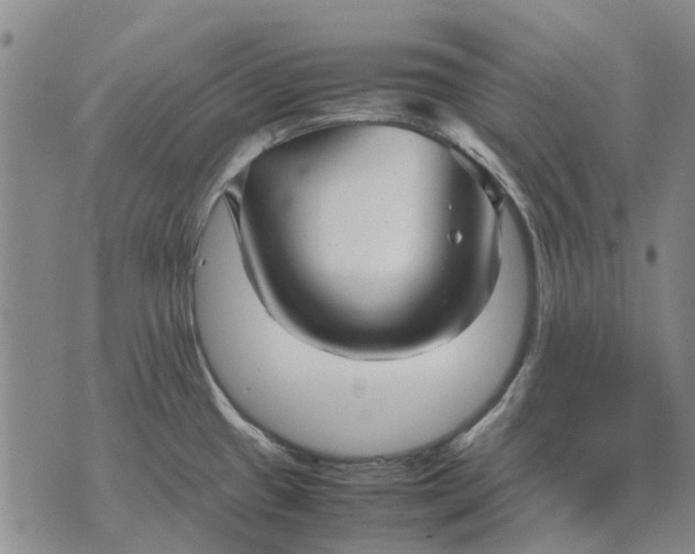 X0000070391433200606231726