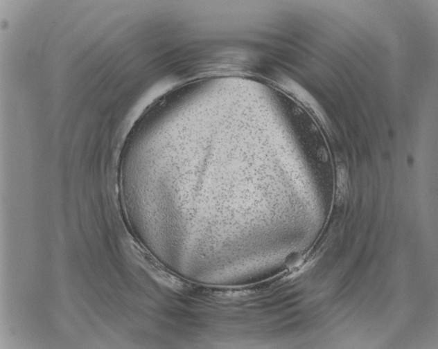 X0000070391435200606231726