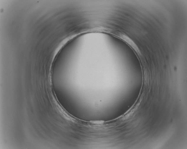 X0000070391436200606231726