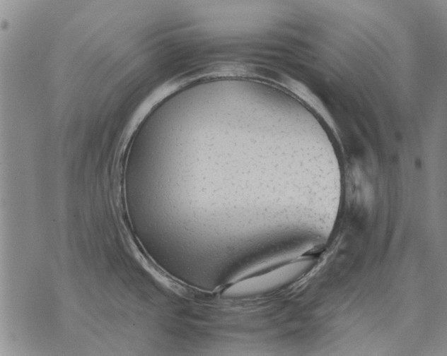 X0000070391437200606231726