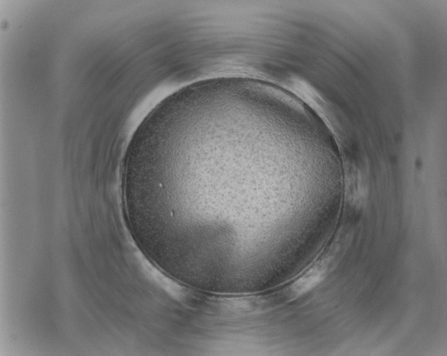 X0000070391438200606231726