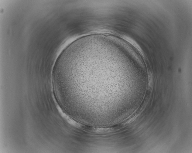 X0000070391439200606231726