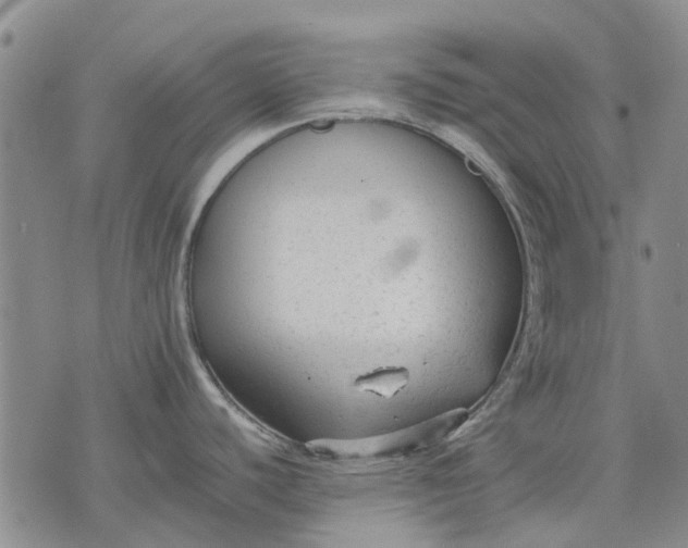 X0000070391440200606231726