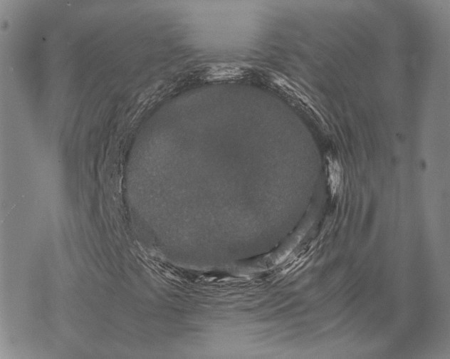 X0000070391441200606231726