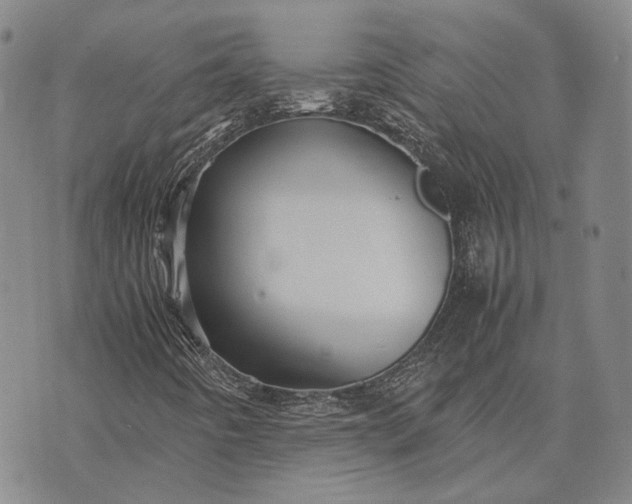 X0000070391442200606231726