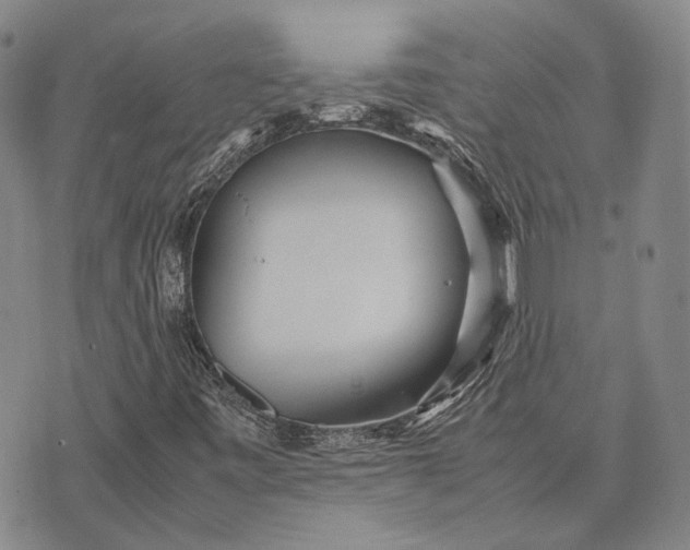 X0000070391443200606231726