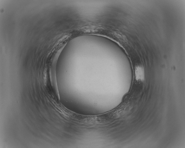 X0000070391444200606231725