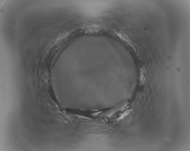 X0000070391445200606231725