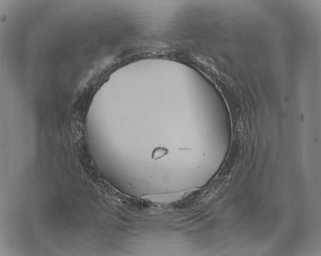 X0000070391447200606231725