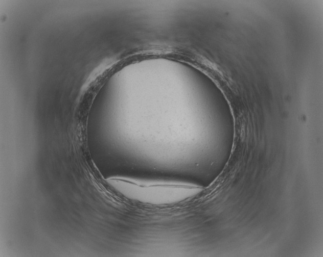 X0000070391448200606231725