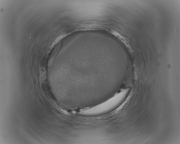 X0000070391449200606231725