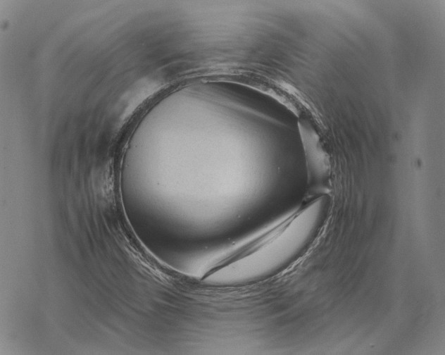 X0000070391450200606231725