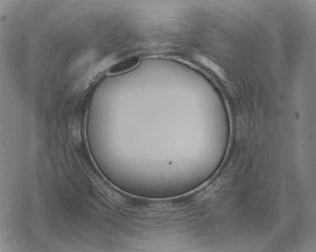 X0000070391451200606231725