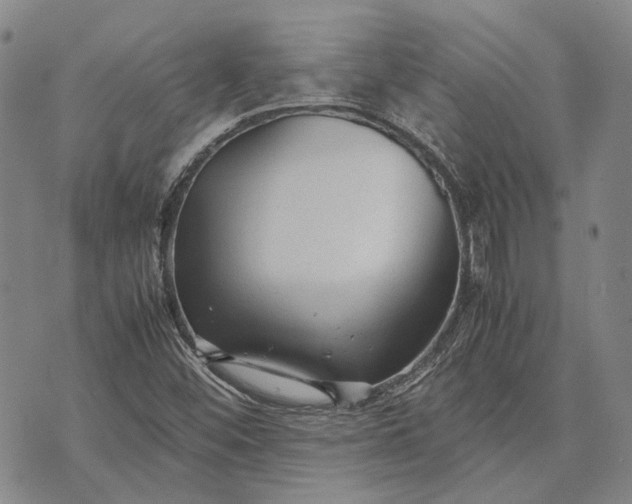 X0000070391452200606231725