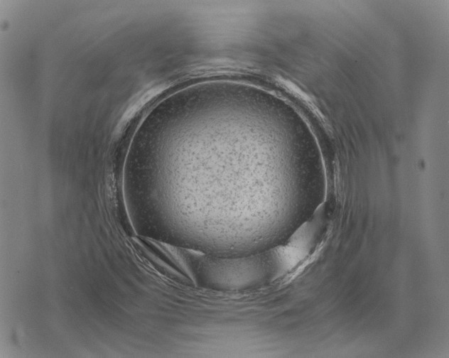 X0000070391453200606231725