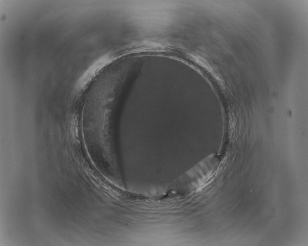 X0000070391455200606231725