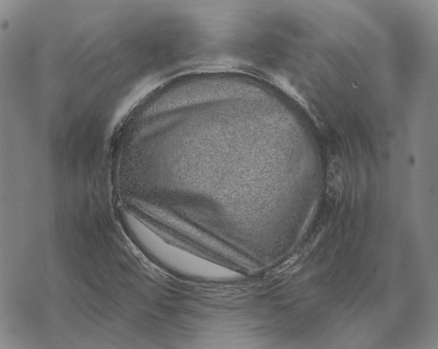 X0000070391456200606231725