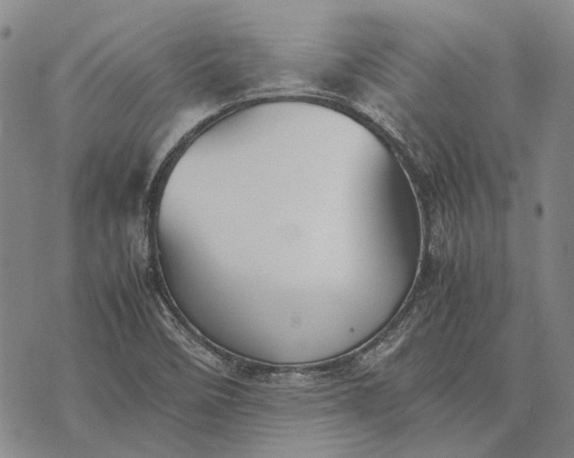 X0000070391458200606231725