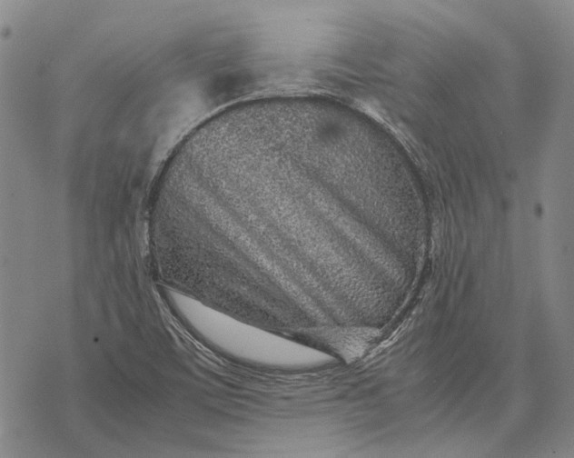 X0000070391459200606231725