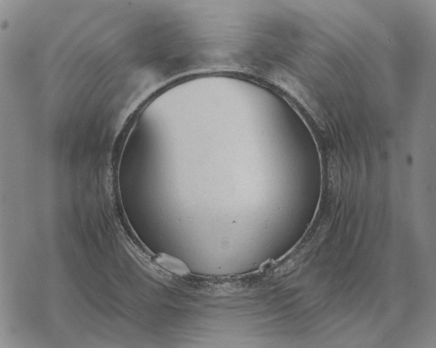 X0000070391460200606231725