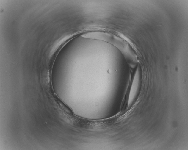 X0000070391461200606231725