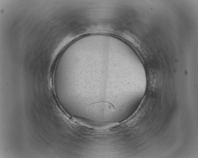 X0000070391462200606231725