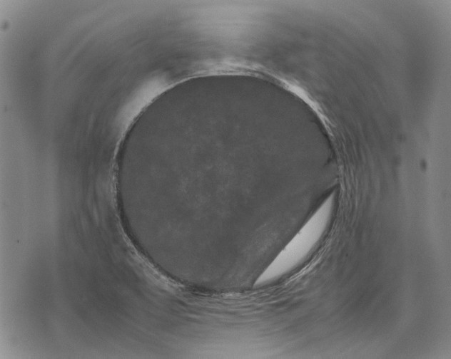 X0000070391463200606231725