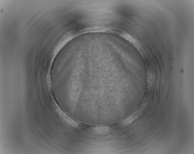 X0000070391466200606231725