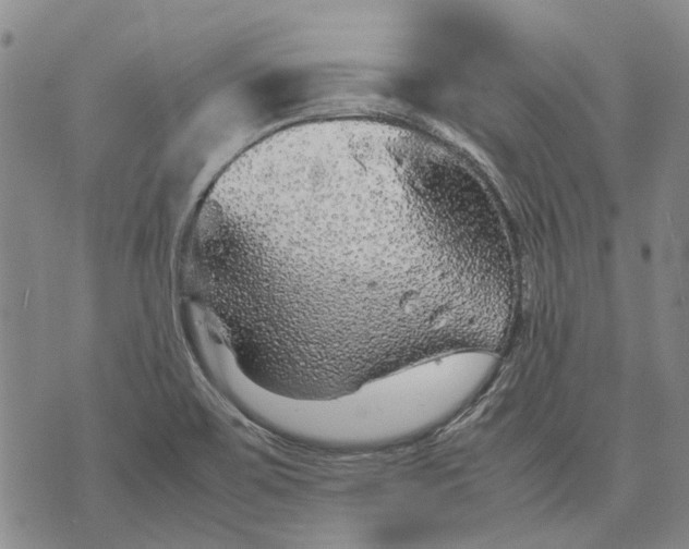 X0000070391467200606231725