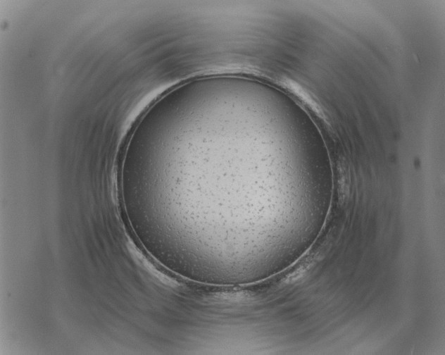 X0000070391468200606231725