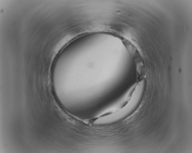 X0000070391469200606231725