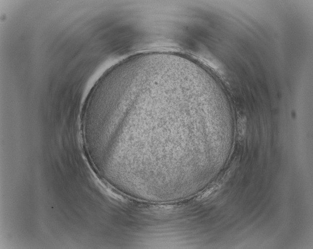 X0000070391470200606231725