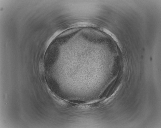 X0000070391473200606231725