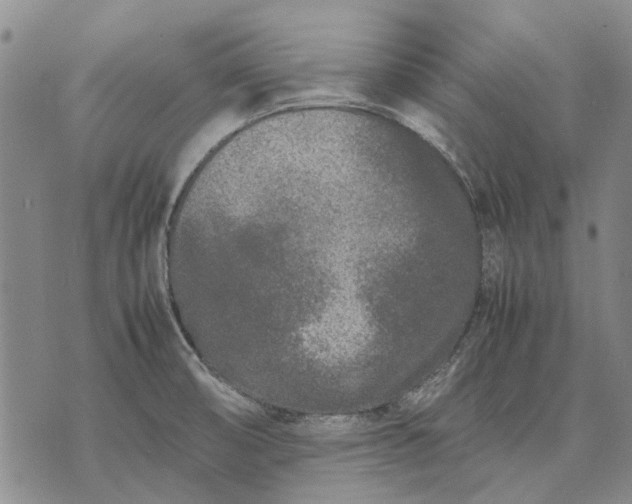 X0000070391474200606231725