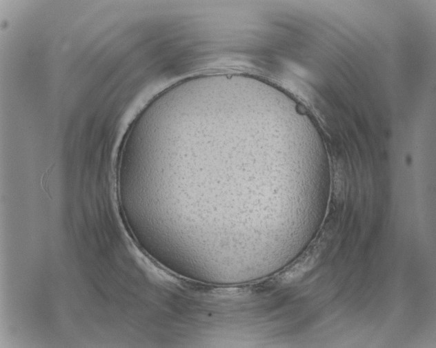 X0000070391478200606231725