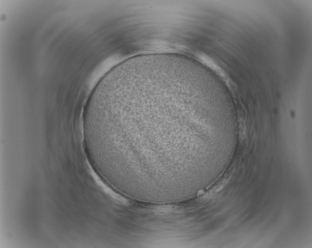 X0000070391479200606231725