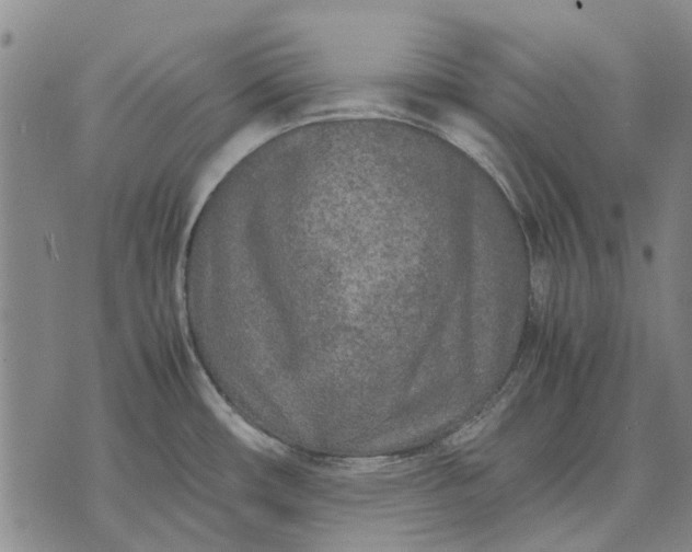 X0000070391482200606231725